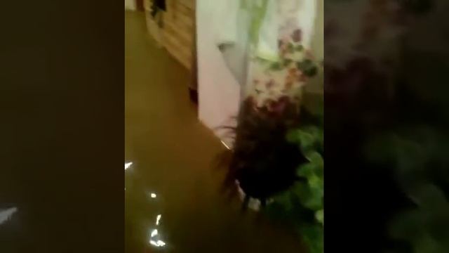Потоп в квартире смотреть онлайн