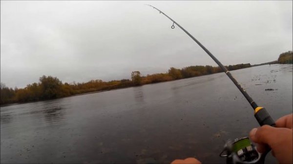 Сентябрьский МДЖ (PSSS 77S)