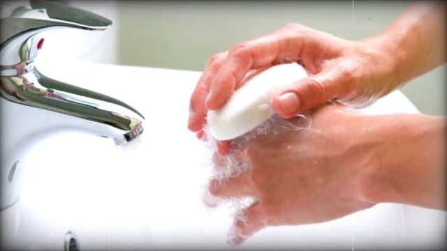 Собака, интересные факты. смотреть онлайн