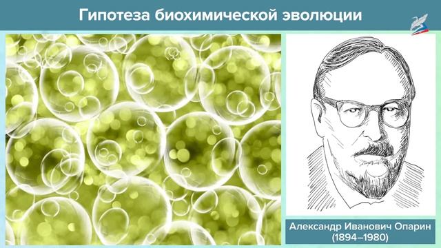 Взгляды, гипотезы и теории о происхождении жизни смотреть онлайн