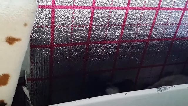 Кот Люцифер помогает делать ремонт смотреть онлайн