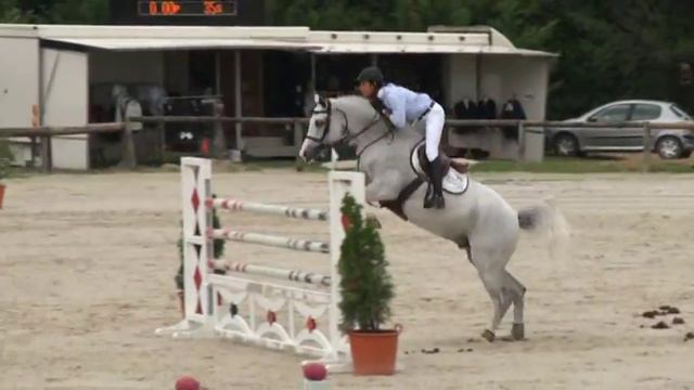 Cornet d'Amour (webstallions.com) смотреть онлайн