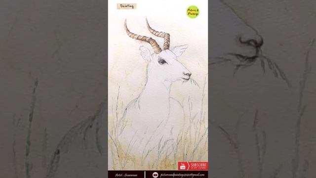 ? "I-m-pala" - Antelope/ ? Watercolor Painting/ ? Commentary with Impala Fun Facts/ ?️ 10min Montag смотреть онлайн
