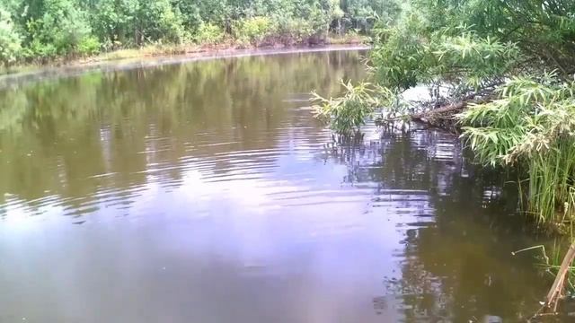 Прогноз клёва рыбы на декабрь 2022 лунный календарь рыбалова смотреть онлайн