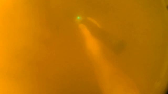 Вигуляв Тритона смотреть онлайн