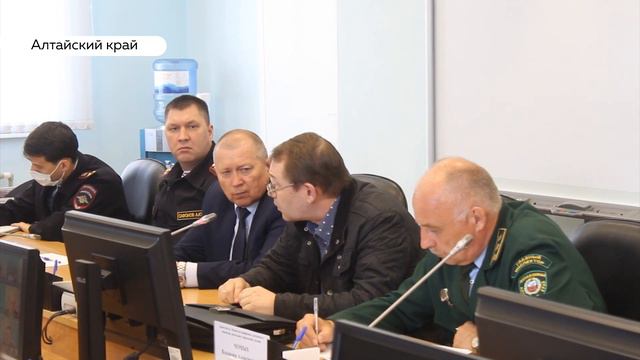 Пожароопасный сезон: несколько дачных домов сгорели на Алтае смотреть онлайн