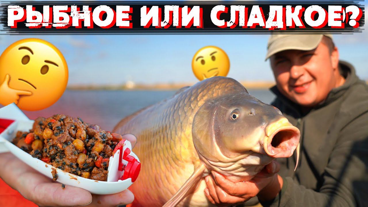 ЧЕМ ЛУЧШЕ КОРМИТЬ КАРПА ОСЕНЬЮ?! Эксперимент с прикормкой в Нестандартных условиях. Часть I смотреть онлайн