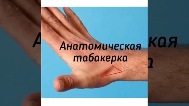 Ямочки на теле☀️ смотреть онлайн