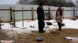 Содержание овец зимой без выпаса//100% ВЫГОДНО и ПРИБЫЛЬНО.