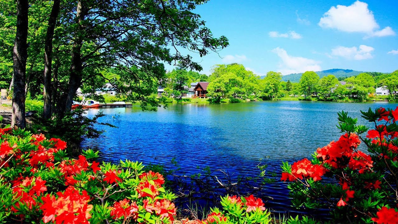 ШИКАРНАЯ, ОЧЕНЬ КРАСИВАЯ АТМОСФЕРНАЯ МУЗЫКА ДЛЯ ДУШИ!!!