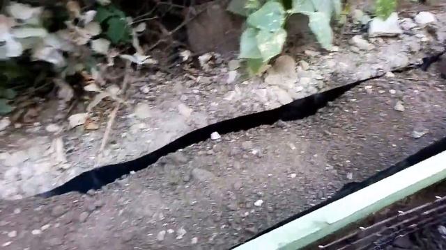 Заливаем отмостку. Основные моменты подготовки.