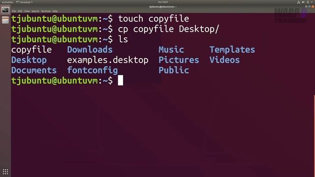 Linux Fast-Track For Beginners | Commands 101 | CP | #019 смотреть онлайн