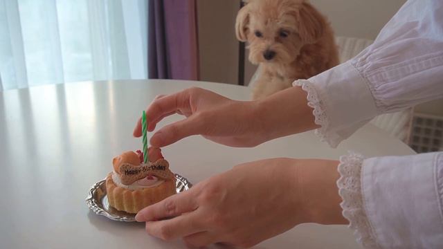 お花のフルーツサンド🌼 смотреть онлайн
