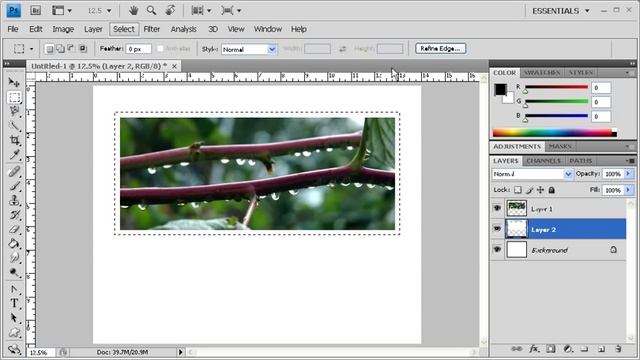 3.3 Creating a One Image Poster Layout: Adobe Photoshop CS4 Video смотреть онлайн