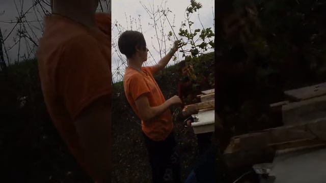 Майнкрафт 2 часть: дом есть дальше лучше смотреть онлайн