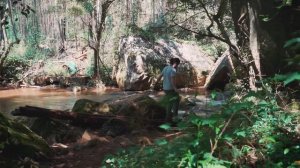 САД ОТЦА 🌊🌊🌊 /// НАПОЛНЕНИЕ светильников //// мудрые девы (масло) /// Майкл Парсонс