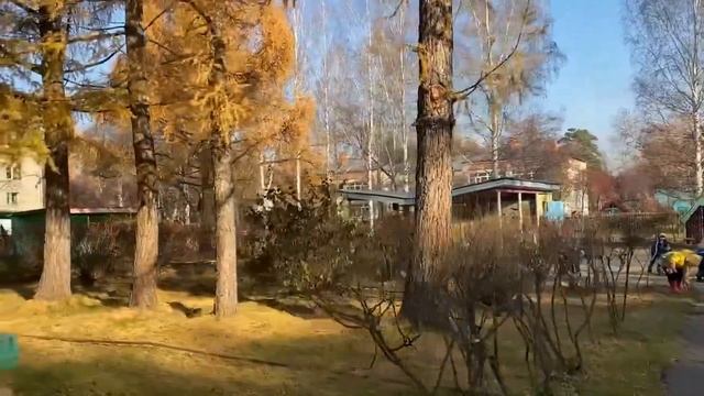 Наш Детский сад №55 смотреть онлайн