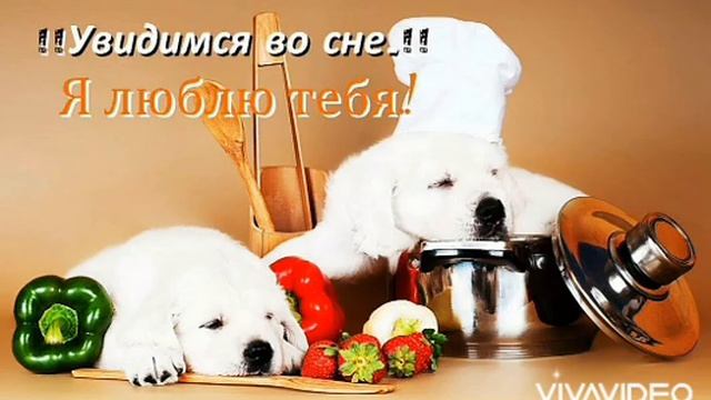 Спокойной ночи и приятных снов! смотреть онлайн