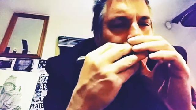 Red Robin Blues played on a century old hohner echo harp. смотреть онлайн