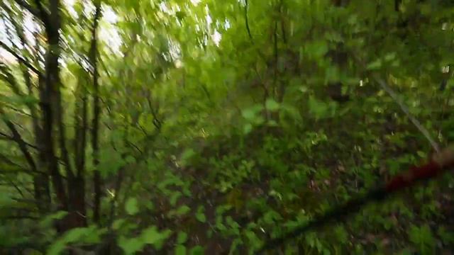 Молдова 2014. Пеший поход. Шкуродёрка на треке между селами Сахарна и Бучушка. смотреть онлайн