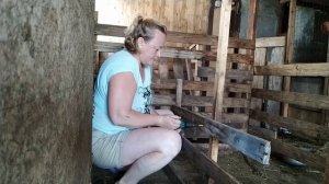 Переделки в сарае для телят