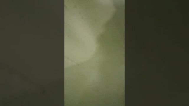 Сияющая уборка