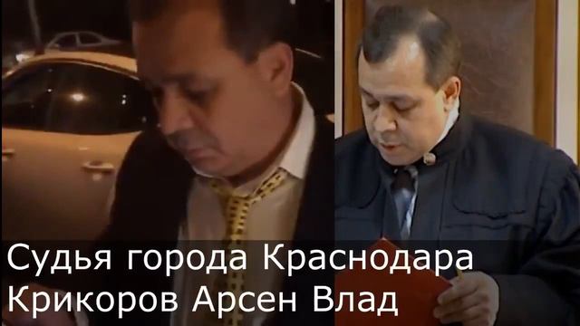 Пьяный судья Краснодара смотреть онлайн