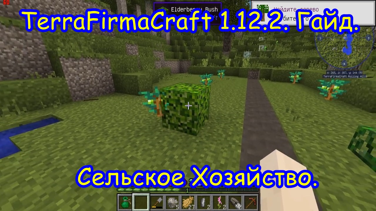 TerraFirmaCraft. 1.12.2.  Сельское хозяйство.