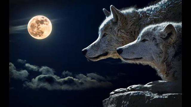 HHø7-The Full Møøn's Children(Amala & Kamala/Dina Sanichar- The Wolf Boy)