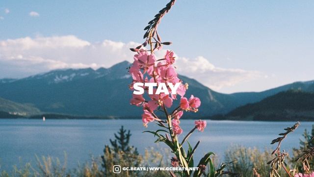 Chill R&B Guitar Type Beat ''STAY'' смотреть онлайн