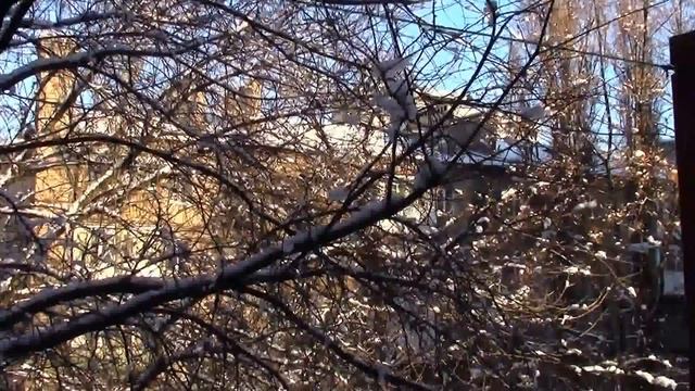 Мирное Небо в Донецке смотреть онлайн