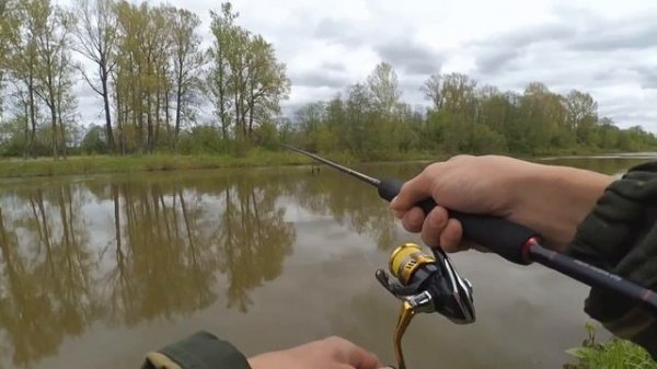 Kosadaka META XS 80F  Щуки - красавицы, прекрасные кадры, отличная рыбалка