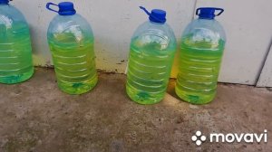 Рено Меган 3.  к9к. Какой дизель евро5 лучше использовать?!!!! Сравниваем!!!!