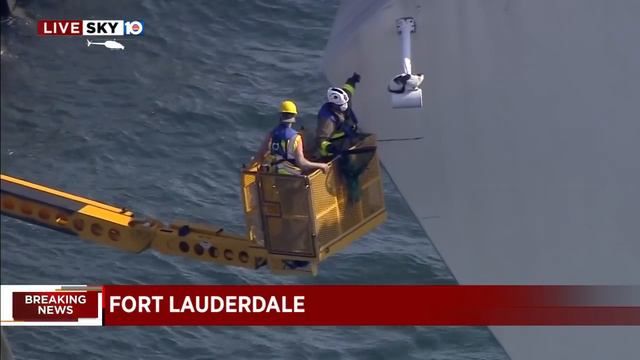 Cat scampers to safety after hanging out on bridge post in Fort Lauderdale смотреть онлайн