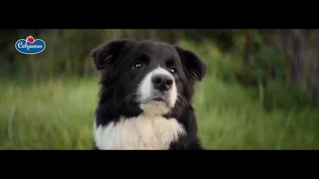 Савушкин_йогурт 30 сек смотреть онлайн