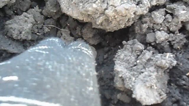 Распаханное поселение 17 - 18 веков! смотреть онлайн