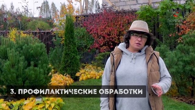 Осенние работы в саду