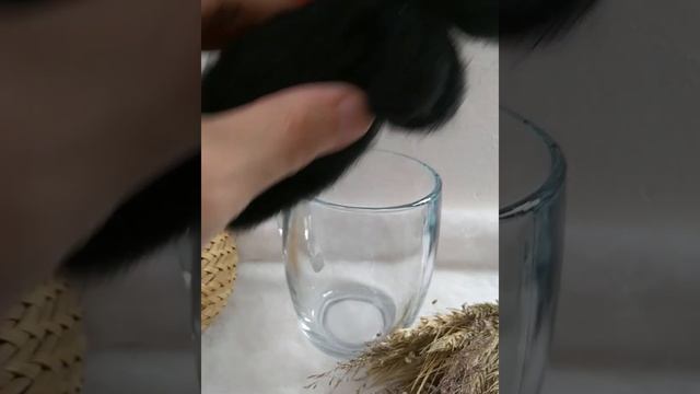Черные коты смотреть онлайн