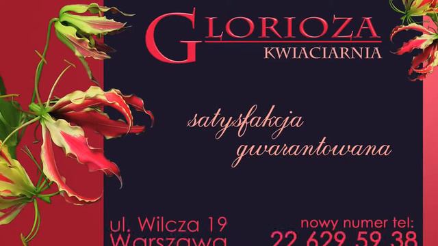 Glorioza смотреть онлайн