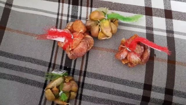 Чеснок Аттач и Шадейка смотреть онлайн