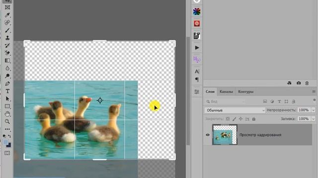 Как удобно кадрировать фотографию смотреть онлайн