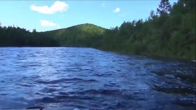 MERCURY 15 SEA PRO Красивое видео о природе Дальнего Востока смотреть онлайн