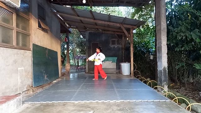 ZOE KURSTEN IBAÑEZ, MJL TAEKWONDO, YELLOW, P смотреть онлайн