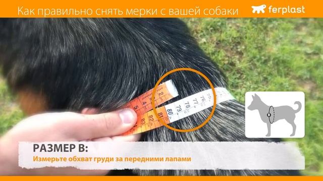 Искусство и Таланты