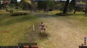 Карос Арена как начать играть быстрый старт с нуля без доната