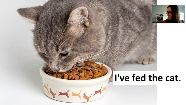 What have you done today? (PRESENT PERFECT SIMPLE) - ENGLISH ONLY (A2-B1) смотреть онлайн