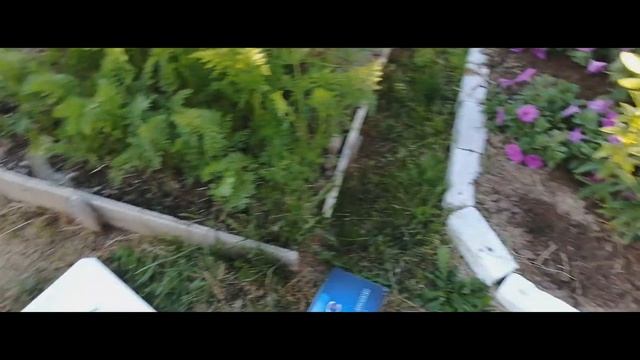 Лучший насос для полива огорода смотреть онлайн