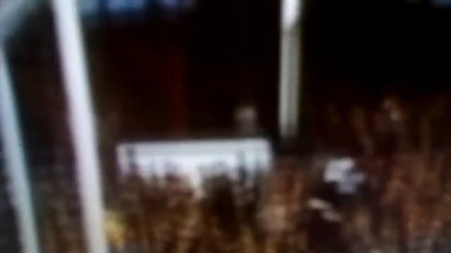 Николай Озеров:Удар..Eusebio..Гол! Португалия-Бразилия-3:1 смотреть онлайн