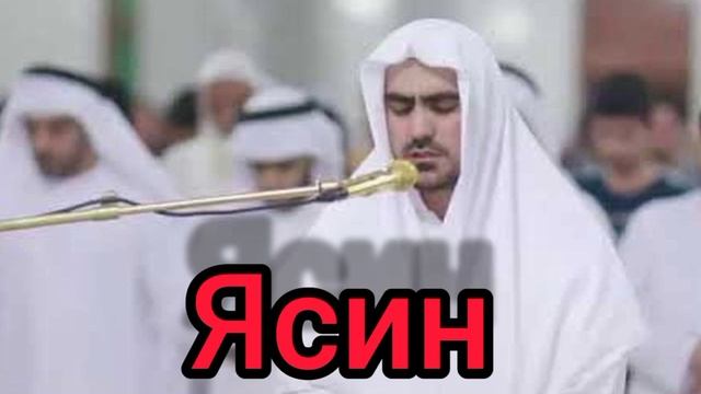 Сиратулло Раупов Сура Ясин смотреть онлайн