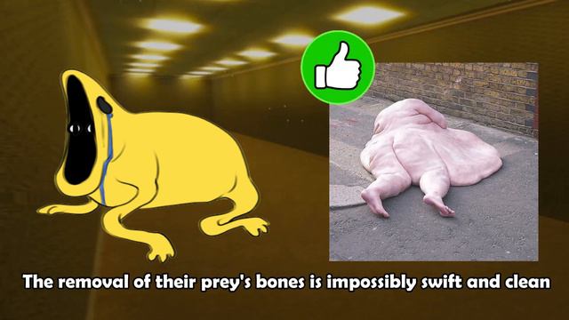 Top 3 Most Terrifying Backrooms Creatures | Data Truck